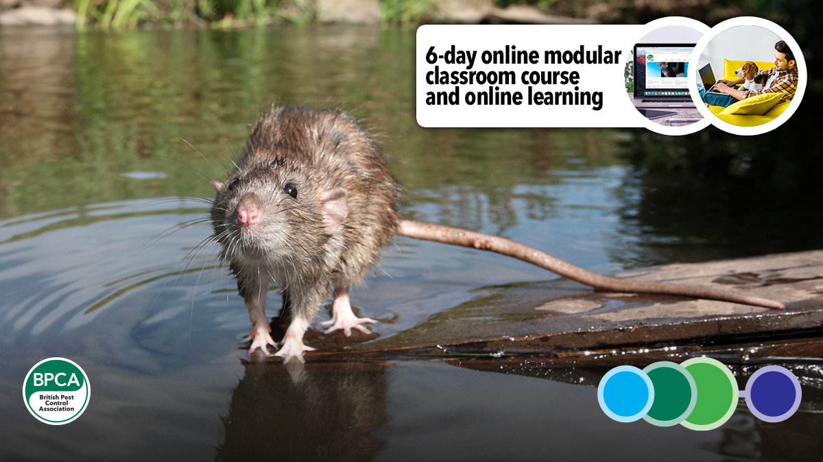 Level 2 Pest Management 6-day online modular classroom course pest control training